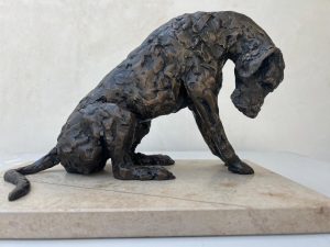 Havoc the Hound
