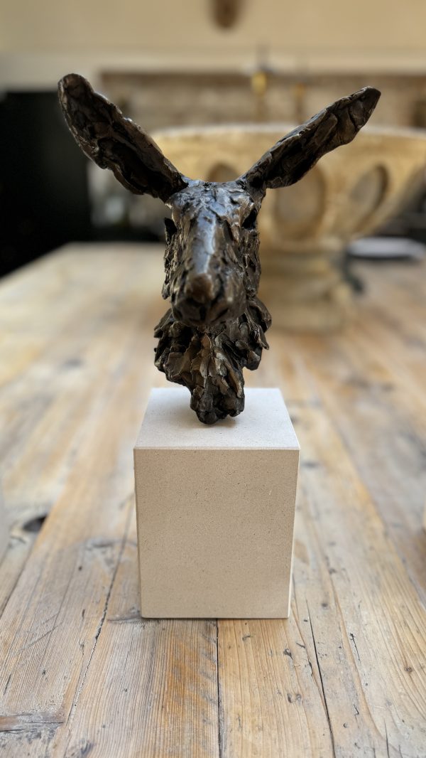 Four Seasons Hares - Image 5